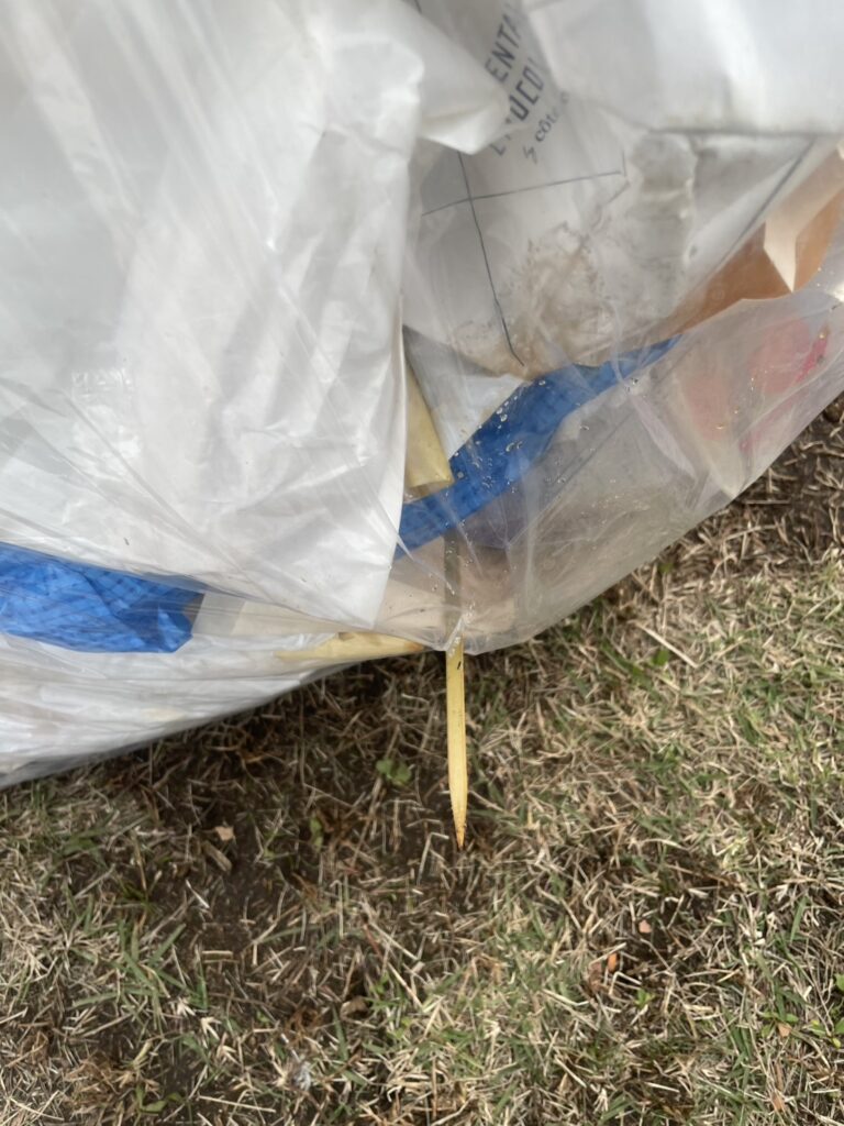 鶴見ウチナー祭